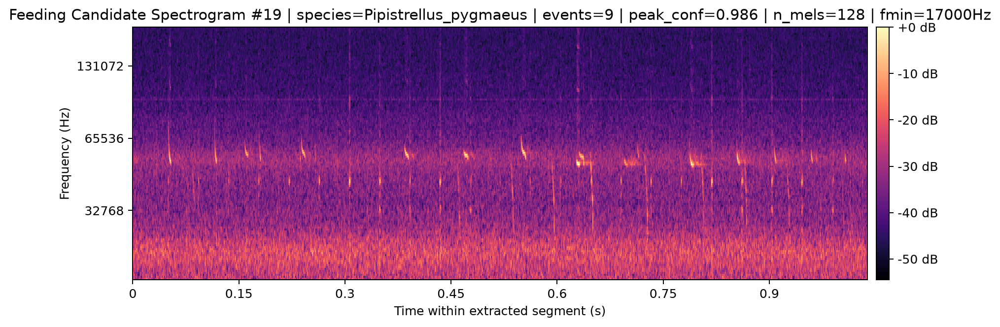 Spectrogram 019