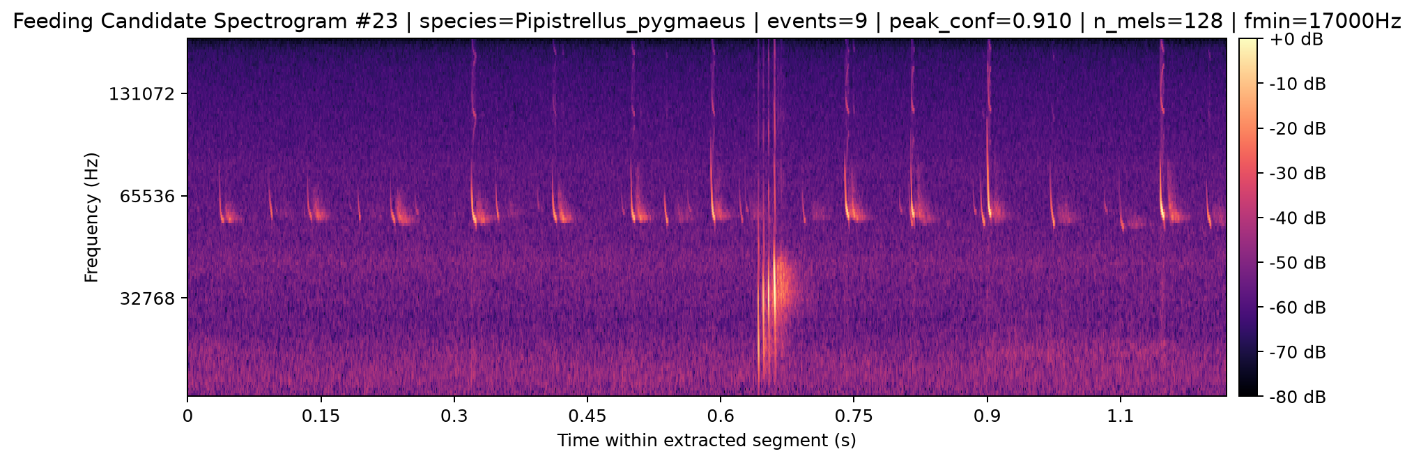 Spectrogram 023