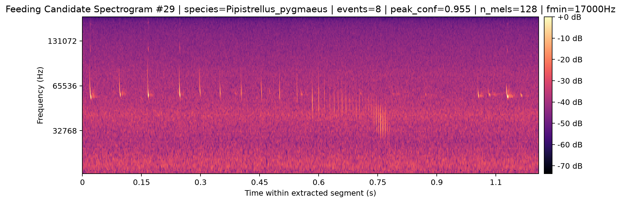 Spectrogram 029