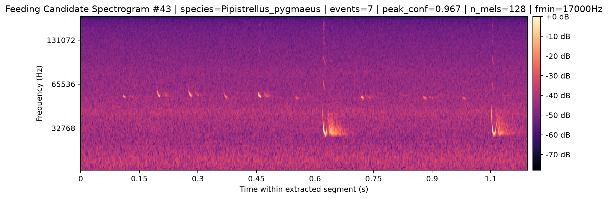 Spectrogram 043