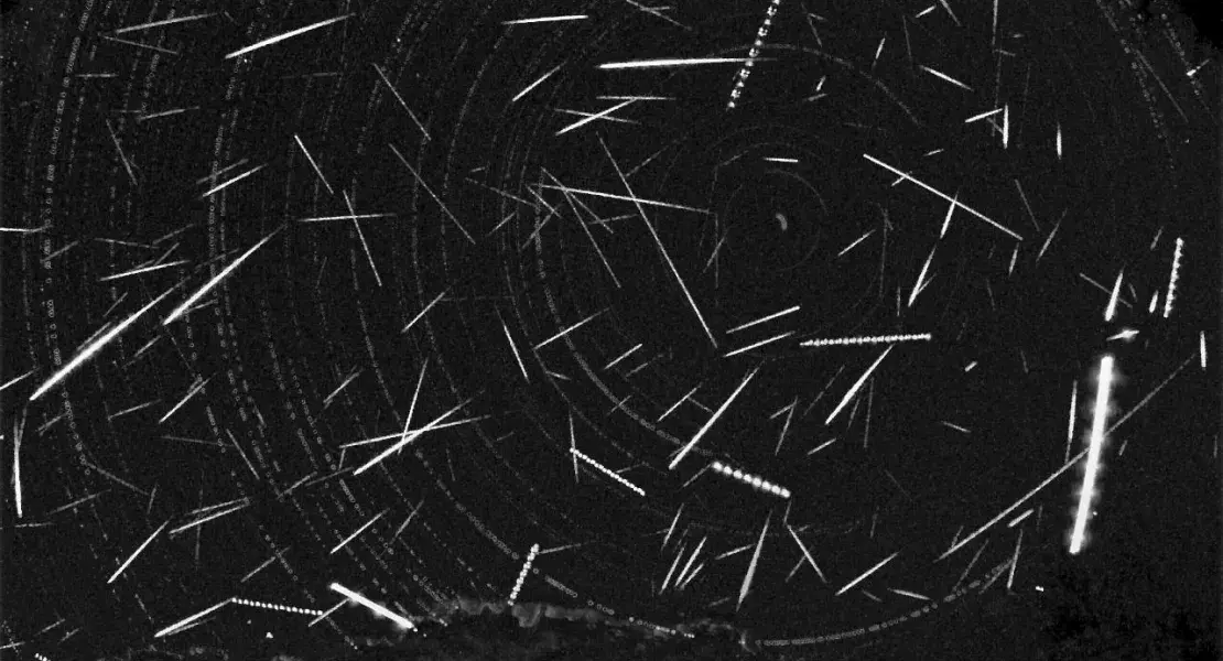 Perseids from meteor cam