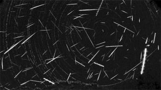 Perseids from our meteor camera