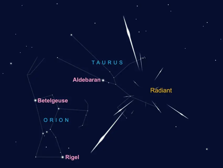 Taurids
