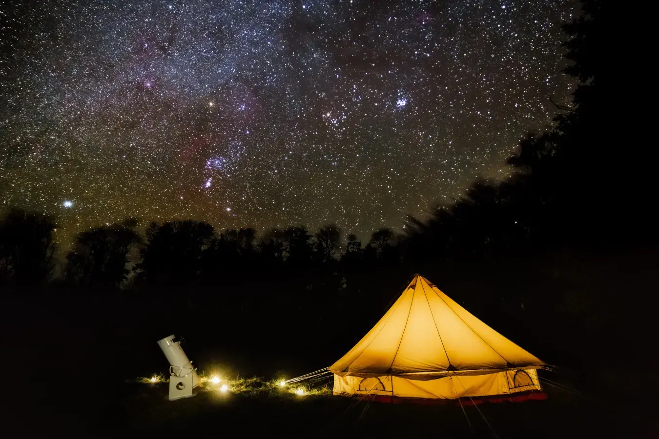 Winter Night Sky